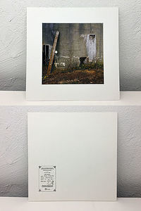 Тасмания, Австралия, март 2017. Ручная оптическая печать. Глянцевая фотобумага Kodak Premier. Отпечаток оформлен в бескислотный картон, пронумерован и подписан автором. 20x20 см (30х30 см с паспарту), копия 3/10.
