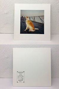 Йокогама, Япония, ноябрь 2016. Ручная оптическая печать. Глянцевая фотобумага Kodak Premier. Отпечаток оформлен в бескислотный картон, пронумерован и подписан автором. 20x20 см (30х30 см с паспарту), копия 4/10.