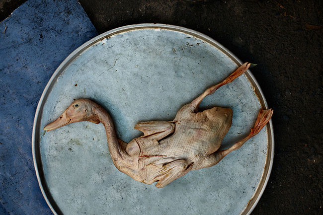 Pavel Kosenko. From My Past Life (2009 – 2015). Dalat, Vietnam, 2010