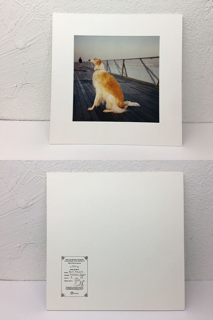 Pavel Kosenko. Portfolio. Prints. 20x20 cm (30x30 cm with carton), copy 4/10 Yokohama, Japan, November 2016. Original hand-made chromogenic print. Kodak Premier glossy paper. Mounted with acid free carton. Numbered and signed by author. 20x20 cm (30x30 cm with carton), copy 4/10.